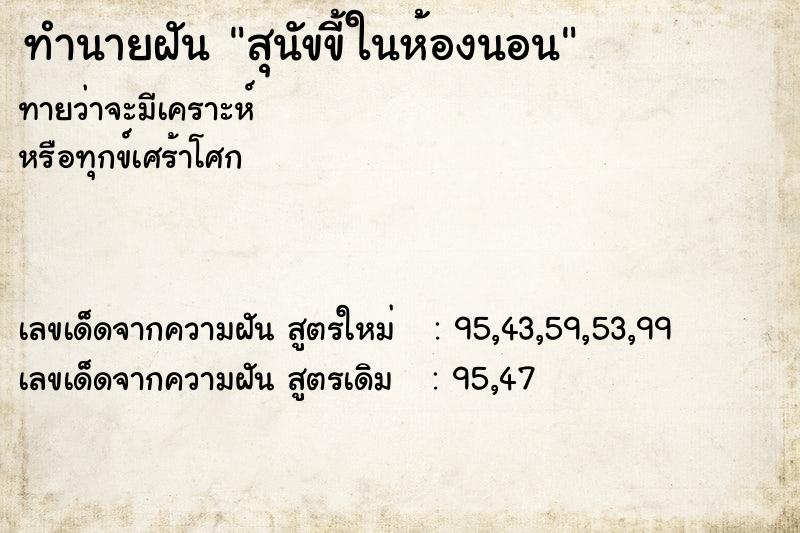 ทำนายฝันทำนายฝันสุนัขขี้ในห้องนอน