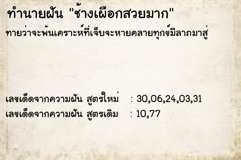 ทำนายฝันทำนายฝันช้างเผือกสวยมาก