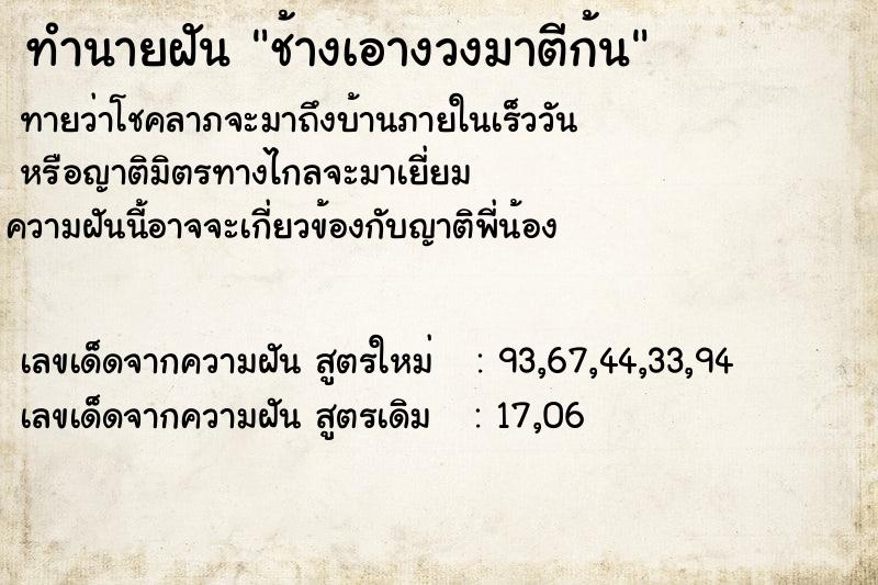 ทำนายฝันทำนายฝันช้างเอางวงมาตีก้น