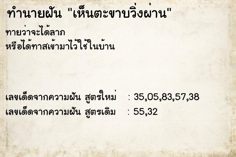 ทำนายฝันทำนายฝันเห็นตะขาบวิ่งผ่าน