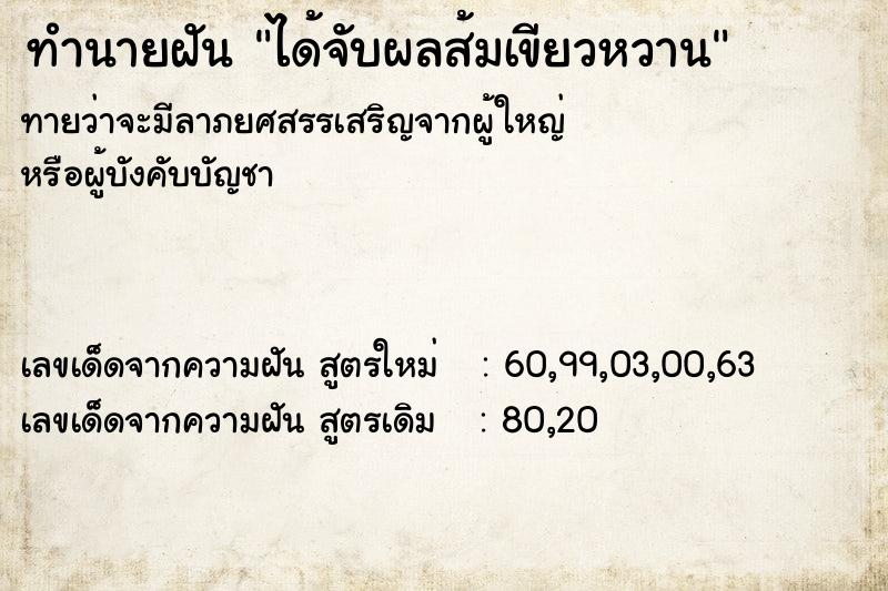 ทำนายฝันได้จับผลส้มเขียวหวาน ทำนายฝันทำนายฝันได้จับผลส้มเขียวหวาน