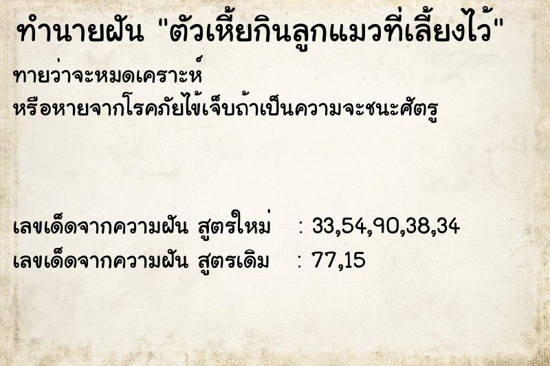 ทำนายฝันตัวเหี้ยกินลูกแมวที่เลี้ยงไว้ ทำนายฝันทำนายฝันตัวเหี้ยกินลูกแมวที่เลี้ยงไว้