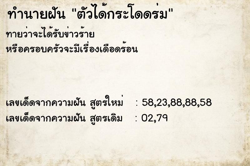 ทำนายฝันตัวได้กระโดดร่ม ทำนายฝันทำนายฝันตัวได้กระโดดร่ม