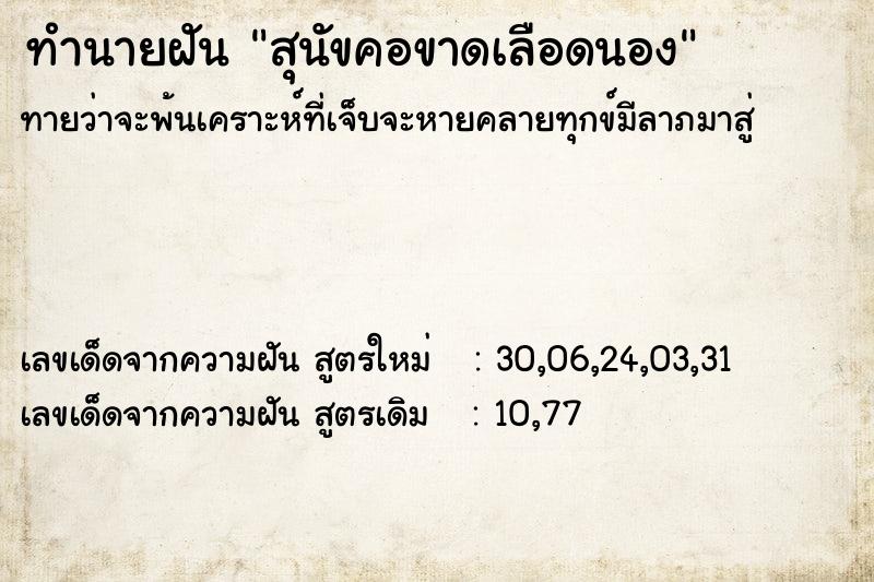 ทำนายฝัน สุนัขคอขาดเลือดนอง ทำนายฝัน สุนัขคอขาดเลือดนอง