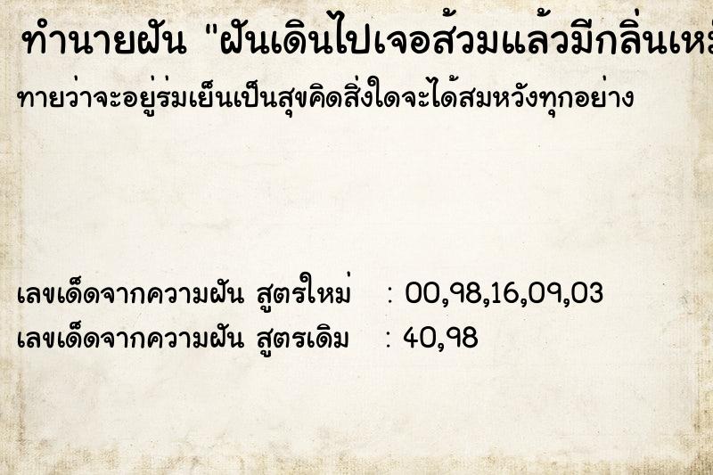 ทำนายฝันทำนายฝันฝันเดินไปเจอส้วมแล้วมีกลิ่นเหม็นและสกปรก