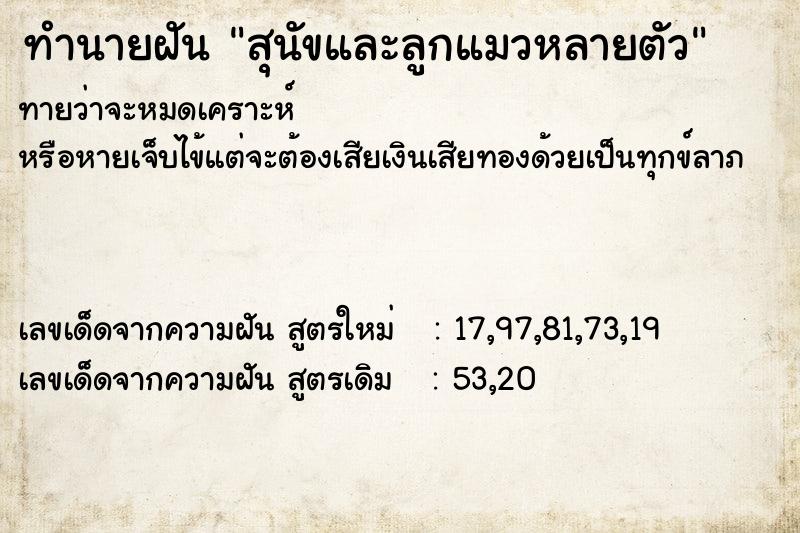 ทำนายฝันสุนัขและลูกแมวหลายตัว ทำนายฝันทำนายฝันสุนัขและลูกแมวหลายตัว