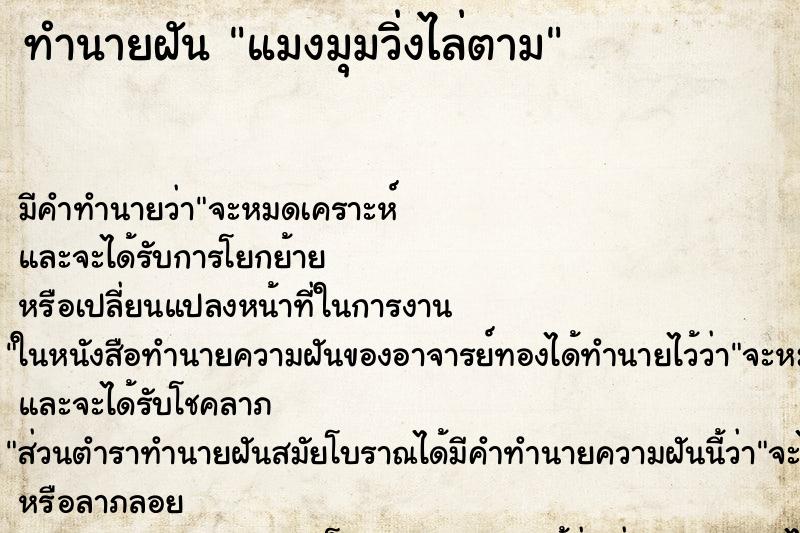 ทำนายฝันแมงมุมวิ่งไล่ตาม ทำนายฝันทำนายฝันแมงมุมวิ่งไล่ตาม