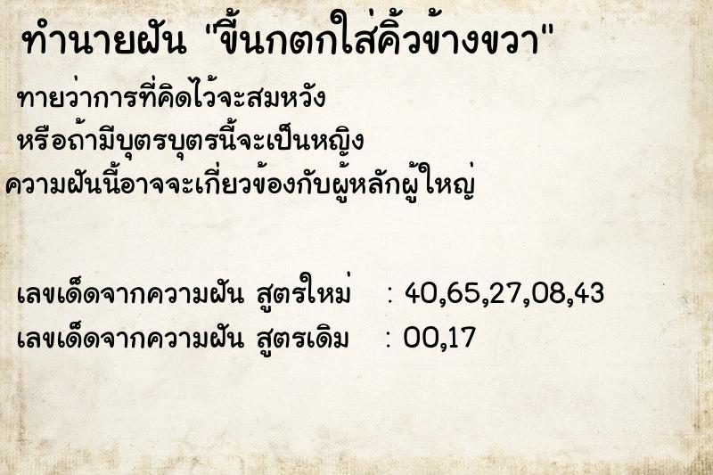 ทำนายฝัน ขี้นกตกใส่คิ้วข้างขวา ทำนายฝัน ขี้นกตกใส่คิ้วข้างขวา