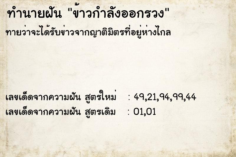 ทำนายฝันข้าวกำลังออกรวง ทำนายฝันทำนายฝันข้าวกำลังออกรวง