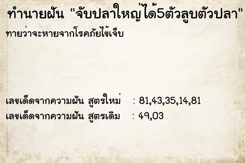 ทำนายฝันทำนายฝันจับปลาใหญ่ได้5ตัวลูบตัวปลา