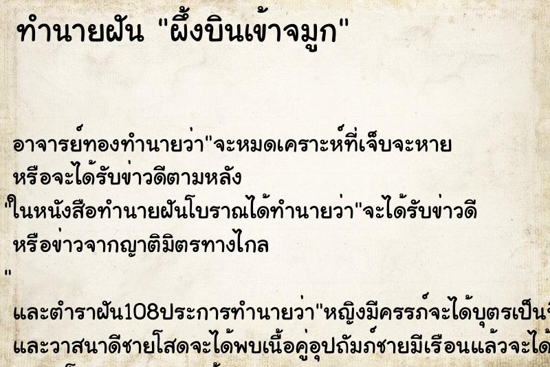 ทำนายฝัน ผึ้งบินเข้าจมูก ทำนายฝัน ผึ้งบินเข้าจมูก