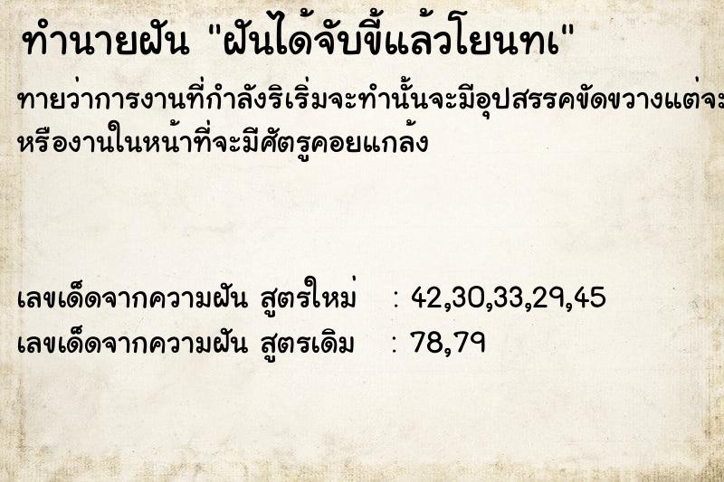 ทำนายฝันทำนายฝันฝันได้จับขี้แล้วโยนทà