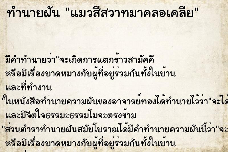 ทำนายฝัน แมวสีสวาทมาคลอเคลีย ทำนายฝัน แมวสีสวาทมาคลอเคลีย