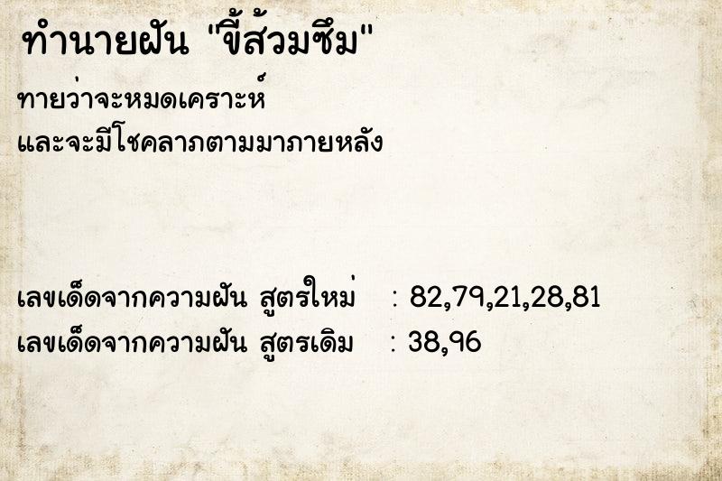 ทำนายฝันขี้ส้วมซึม ทำนายฝันทำนายฝันขี้ส้วมซึม