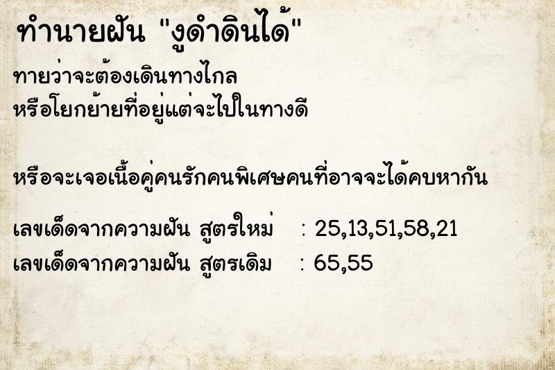 ทำนายฝันงูดำดินได้ ทำนายฝันทำนายฝันงูดำดินได้