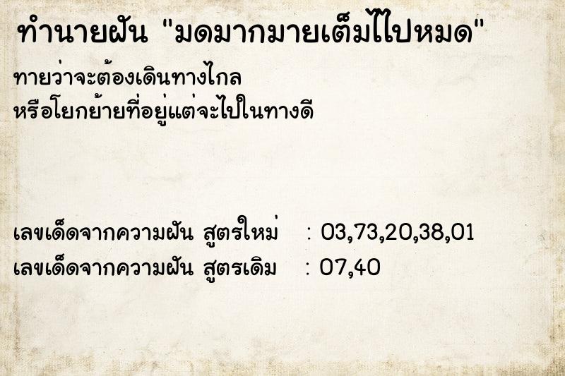 ทำนายฝันมดมากมายเต็มไไปหมด ทำนายฝันทำนายฝันมดมากมายเต็มไไปหมด