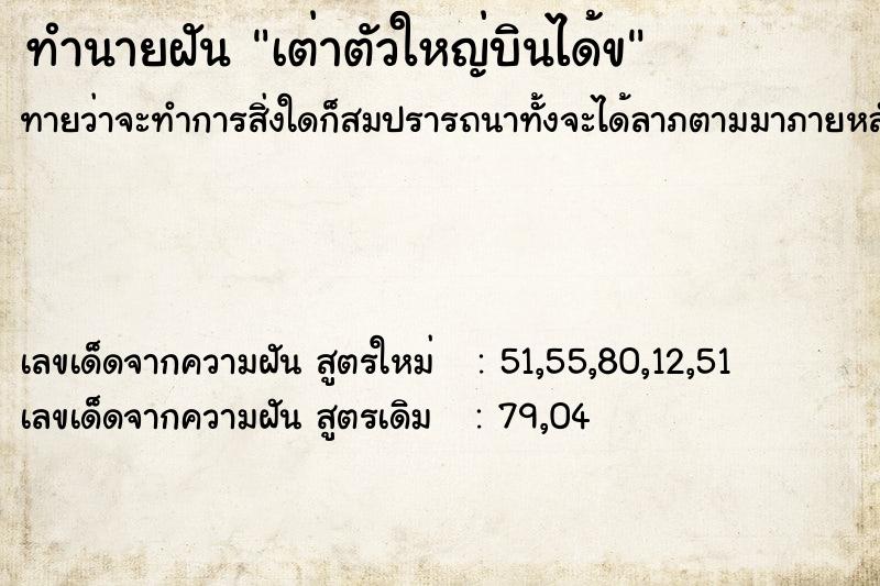 ทำนายฝัน เต่าตัวใหญ่บินได้ข ทำนายฝัน เต่าตัวใหญ่บินได้ข