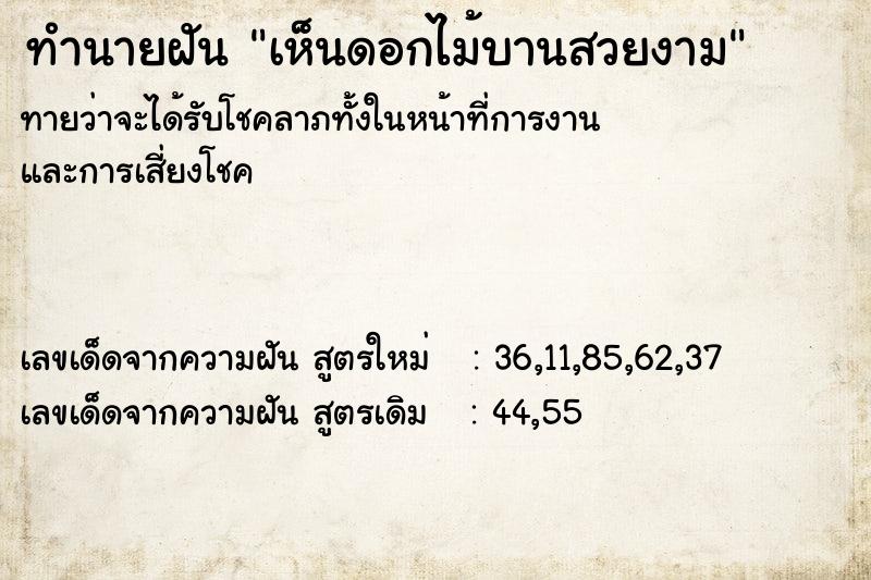 ทำนายฝันทำนายฝันเห็นดอกไม้บานสวยงาม