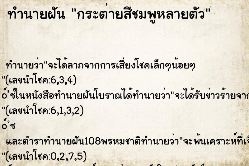 ทำนายฝัน กระต่ายสีชมพูหลายตัว ทำนายฝัน กระต่ายสีชมพูหลายตัว