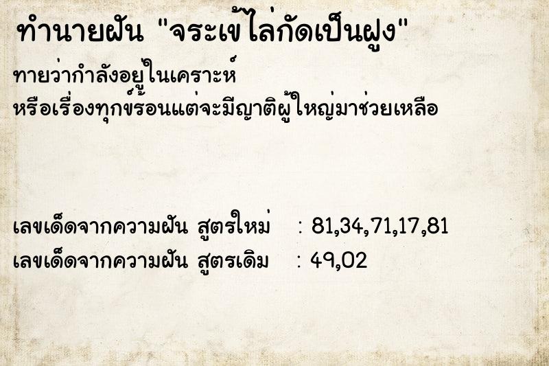 ทำนายฝันจระเข้ไล่กัดเป็นฝูง ทำนายฝันทำนายฝันจระเข้ไล่กัดเป็นฝูง