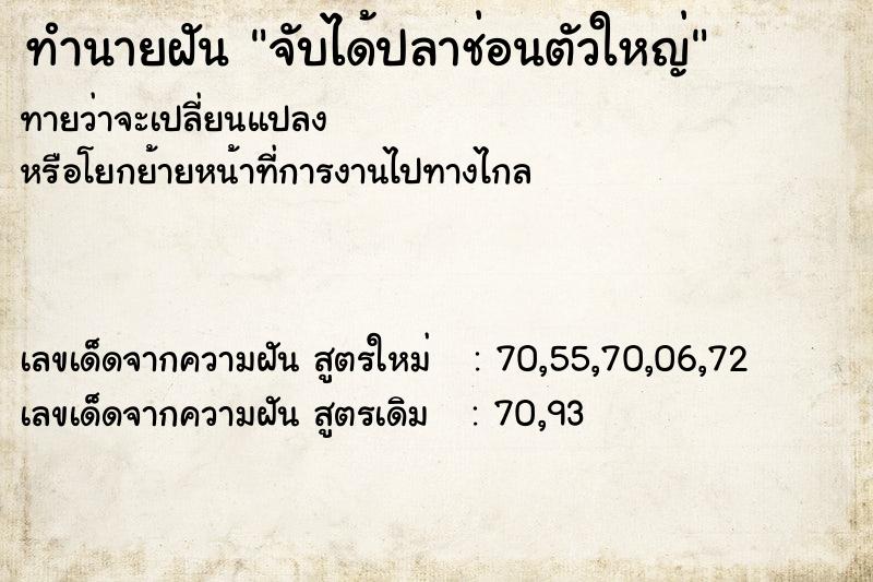ทำนายฝัน จับได้ปลาช่อนตัวใหญ่ ทำนายฝัน จับได้ปลาช่อนตัวใหญ่