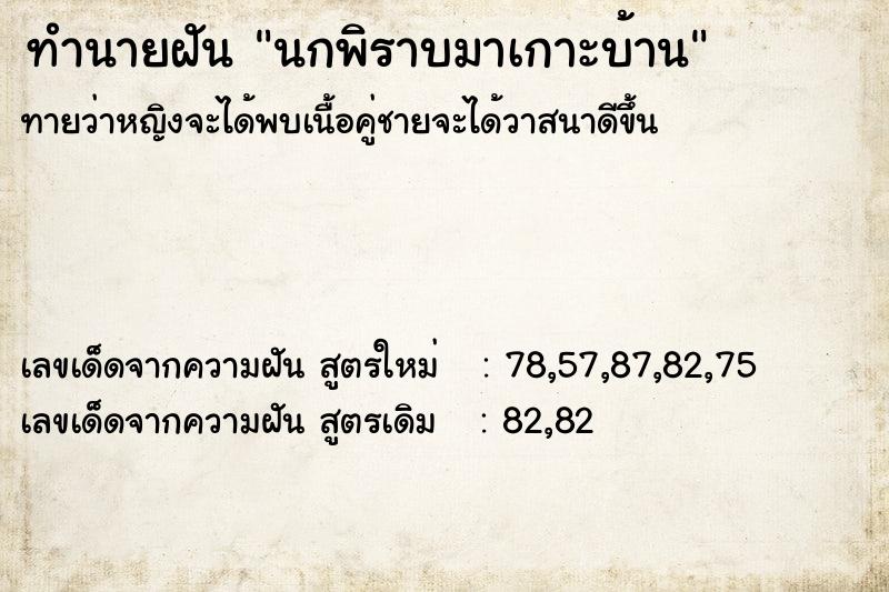 ทำนายฝันนกพิราบมาเกาะบ้าน ทำนายฝันทำนายฝันนกพิราบมาเกาะบ้าน