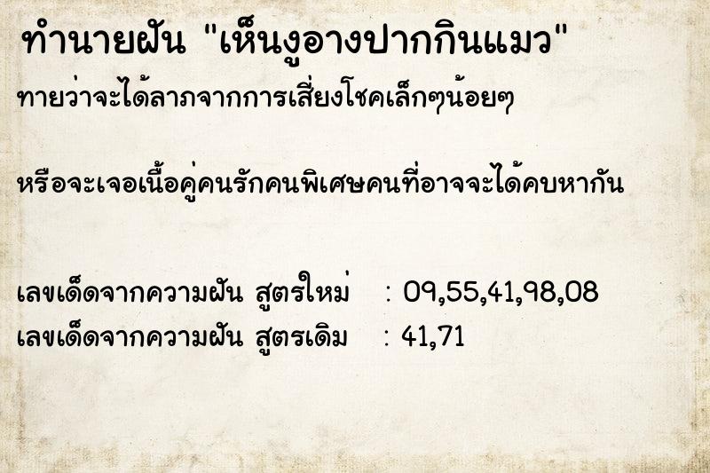 ทำนายฝันเห็นงูอางปากกินแมว ทำนายฝันทำนายฝันเห็นงูอางปากกินแมว