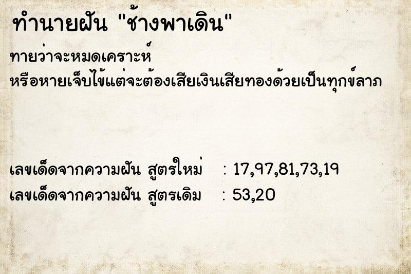 ทำนายฝันช้างพาเดิน ทำนายฝันทำนายฝันช้างพาเดิน