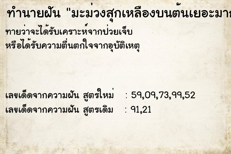 ทำนายฝันมะม่วงสุกเหลืองบนต้นเยอะมาก ทำนายฝันทำนายฝันมะม่วงสุกเหลืองบนต้นเยอะมาก