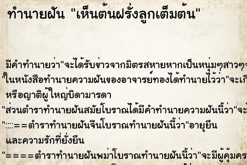 ทำนายฝัน เห็นต้นฝรั่งลูกเต็มต้น ทำนายฝัน เห็นต้นฝรั่งลูกเต็มต้น