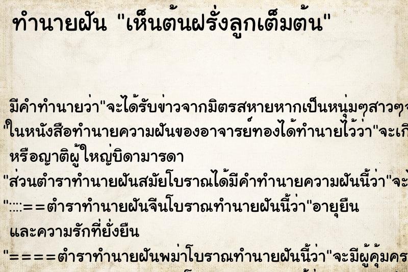 ทำนายฝัน เห็นต้นฝรั่งลูกเต็มต้น ตำราโบราณ แม่นที่สุดในโลก