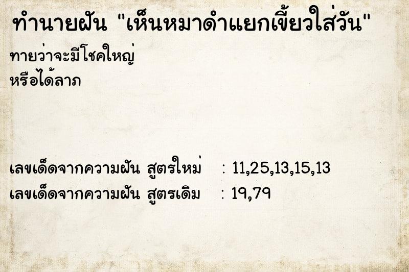 ทำนายฝันทำนายฝันเห็นหมาดำแยกเขี้ยวใส่วัน