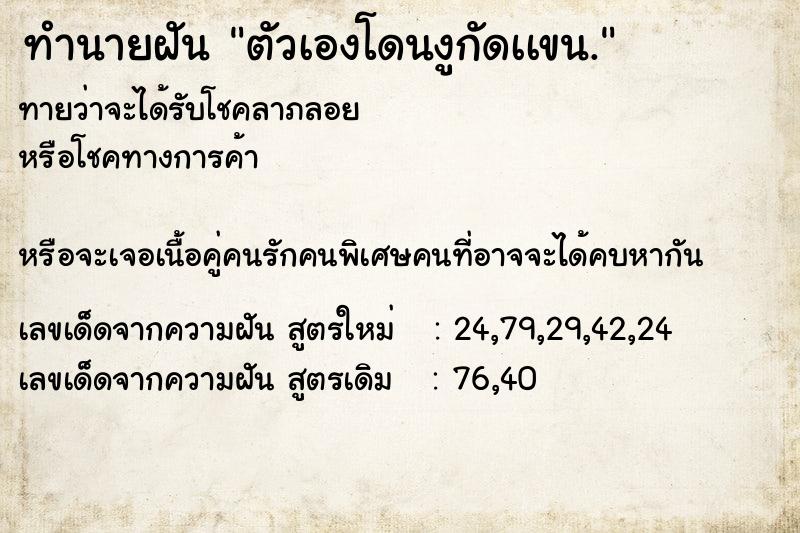 ทำนายฝันทำนายฝันตัวเองโดนงูกัดเเขน.