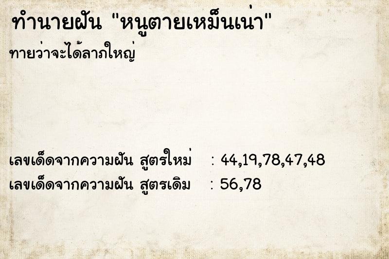 ทำนายฝัน หนูตายเหม็นเน่า ทำนายฝัน หนูตายเหม็นเน่า