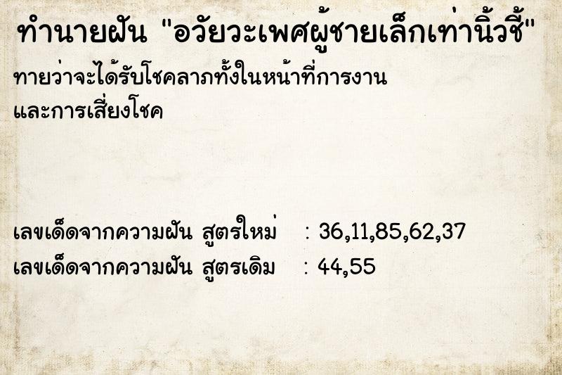 ทำนายฝัน อวัยวะเพศผู้ชายเล็กเท่านิ้วชี้ ทำนายฝัน อวัยวะเพศผู้ชายเล็กเท่านิ้วชี้