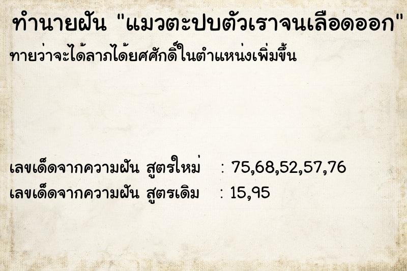 ทำนายฝันแมวตะปบตัวเราจนเลือดออก ทำนายฝันทำนายฝันแมวตะปบตัวเราจนเลือดออก