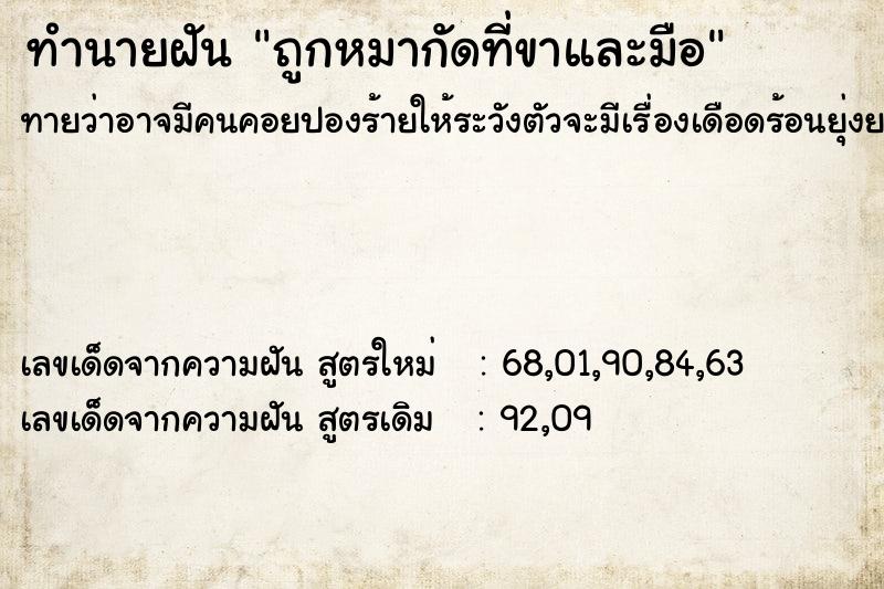 ทำนายฝันถูกหมากัดที่ขาและมือ ทำนายฝันทำนายฝันถูกหมากัดที่ขาและมือ