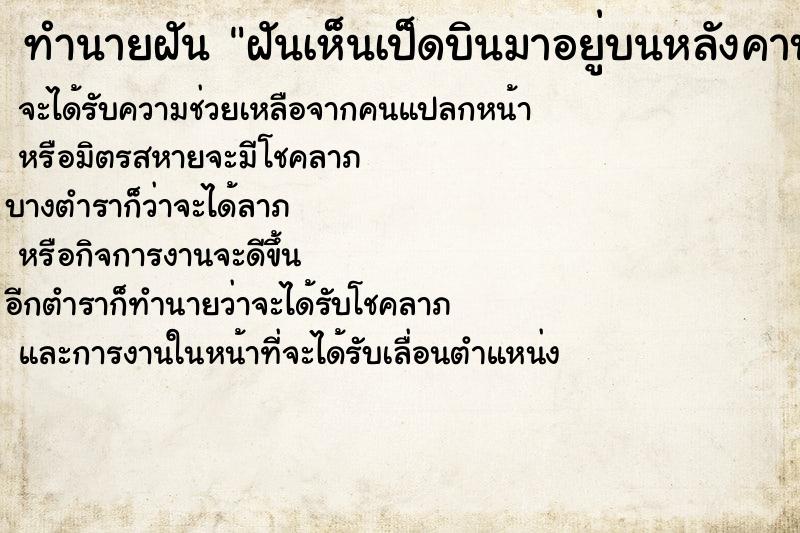 ทำนายฝันฝันเห็นเป็ดบินมาอยู่บนหลังคาบ้านเล ทำนายฝันทำนายฝันฝันเห็นเป็ดบินมาอยู่บนหลังคาบ้านเล