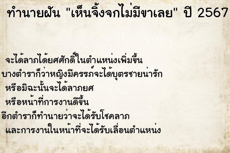ทำนายฝันเห็นจิ้งจกไม่มีขาเลย ทำนายฝันทำนายฝันเห็นจิ้งจกไม่มีขาเลย
