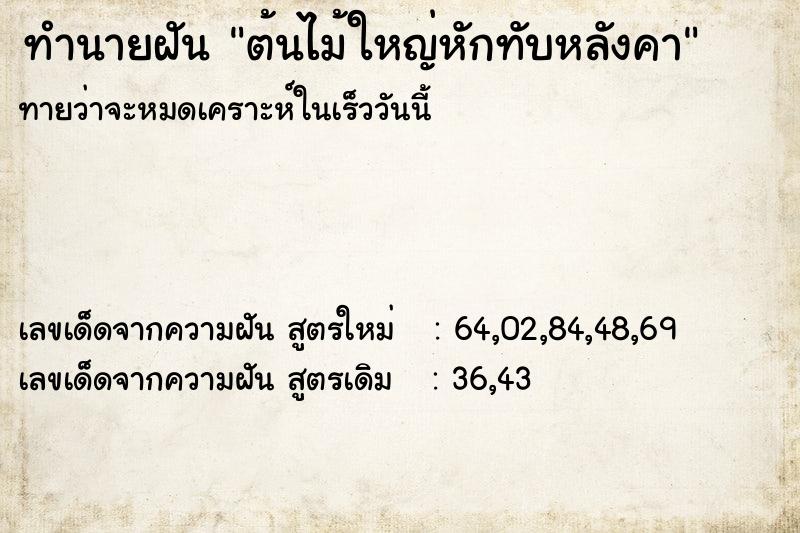 ทำนายฝันต้นไม้ใหญ่หักทับหลังคา ทำนายฝันทำนายฝันต้นไม้ใหญ่หักทับหลังคา