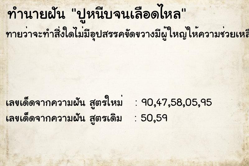 ทำนายฝันปูหนีบจนเลือดไหล ทำนายฝันทำนายฝันปูหนีบจนเลือดไหล