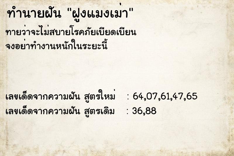 ทำนายฝันทำนายฝันฝูงแมงเม่า
