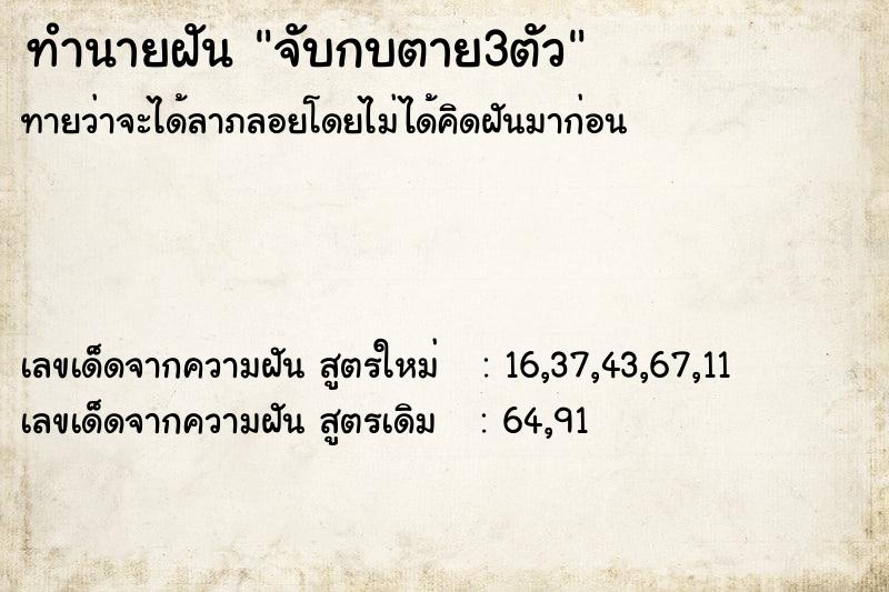 ทำนายฝัน927c96d90332e436af1648bcecbf1dd4จับกบตาย3ตัว ทำนายฝันทำนายฝัน927c96d90332e436af1648bcecbf1dd4จับกบตาย3ตัว