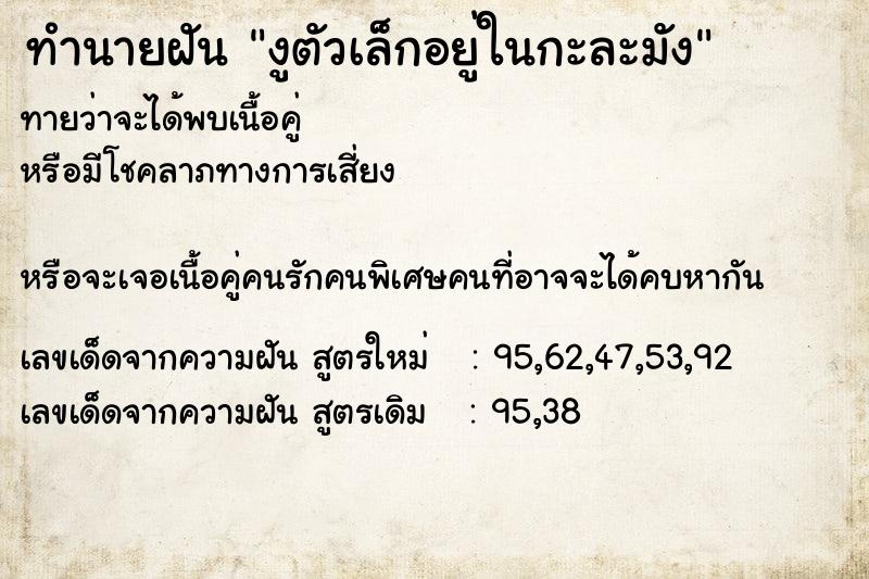 ทำนายฝันทำนายฝันงูตัวเล็กอยู่ในกะละมัง