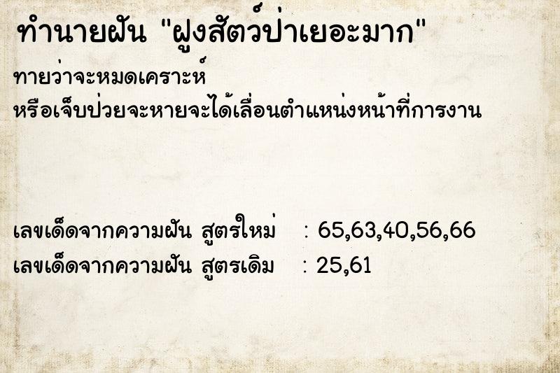 ทำนายฝันทำนายฝันฝูงสัตว์ป่าเยอะมาก