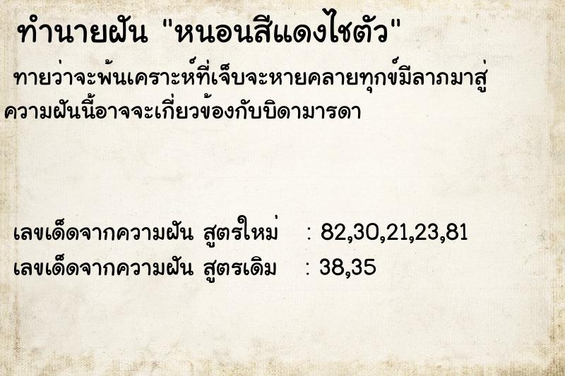 ทำนายฝันหนอนสีแดงไชตัว ทำนายฝันทำนายฝันหนอนสีแดงไชตัว