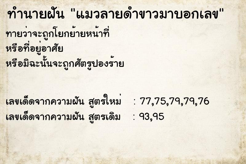 ทำนายฝันแมวลายดำขาวมาบอกเลข ทำนายฝันทำนายฝันแมวลายดำขาวมาบอกเลข