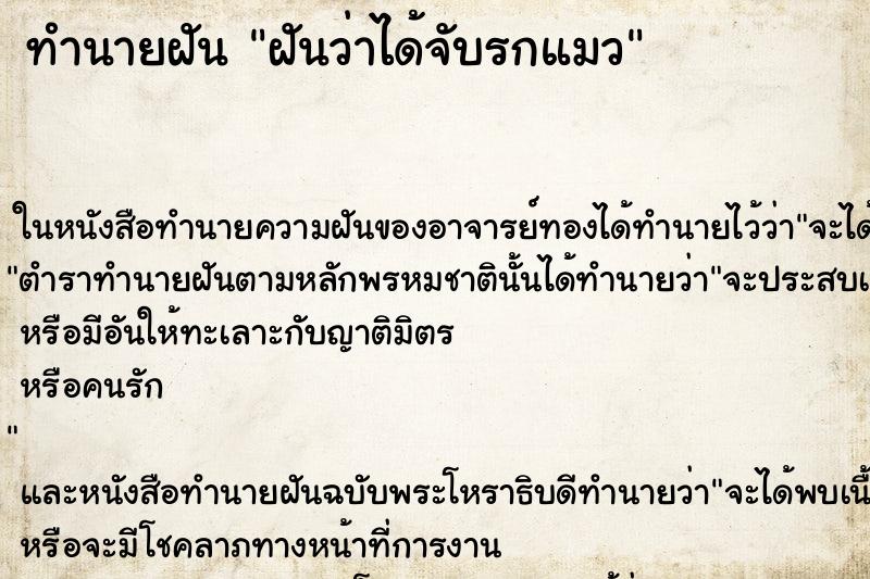 ทำนายฝัน ฝันว่าได้จับรกแมว ทำนายฝัน ฝันว่าได้จับรกแมว