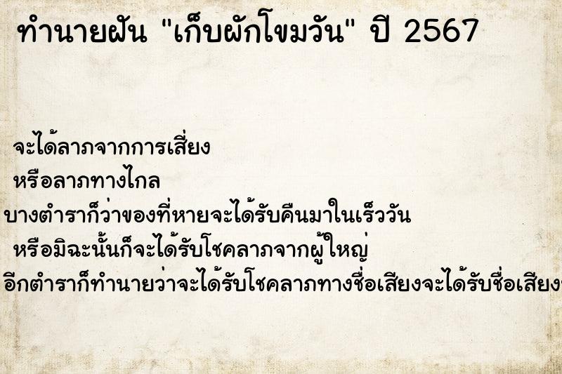 ทำนายฝันทำนายฝันเก็บผักโขมวัน