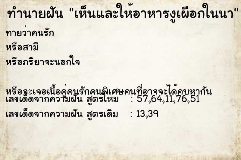 ทำนายฝันทำนายฝันเห็นและให้อาหารงูเผือกในนา